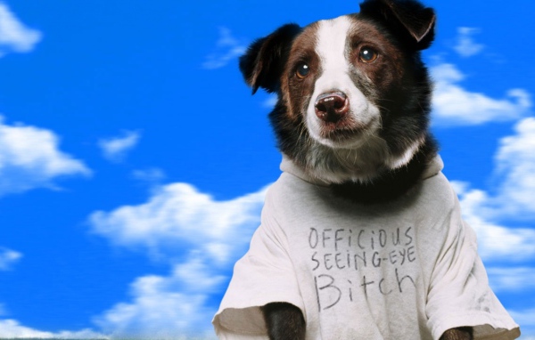 Свет вокруг / Everything Is Illuminated