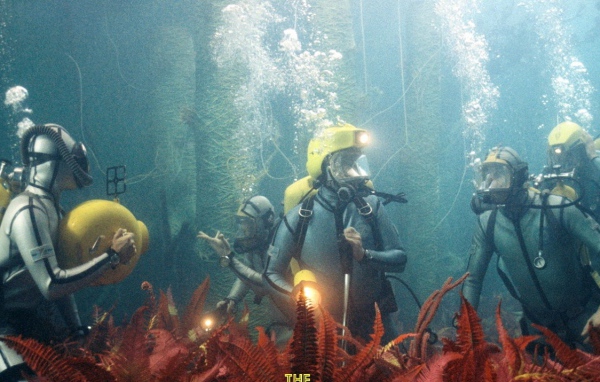 Водная жизнь / Life Aquatic