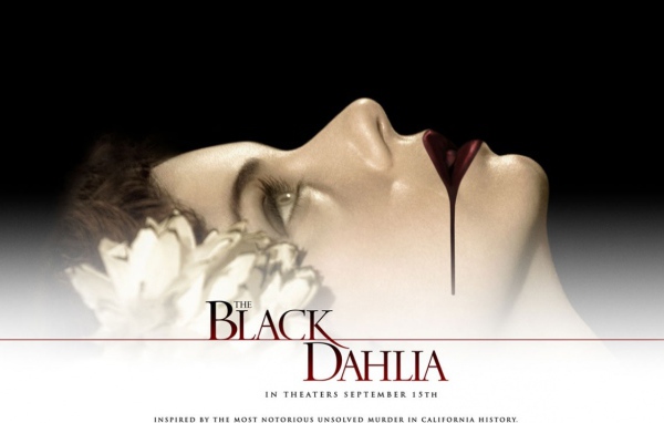 Черный Георгин /  Black Dahlia