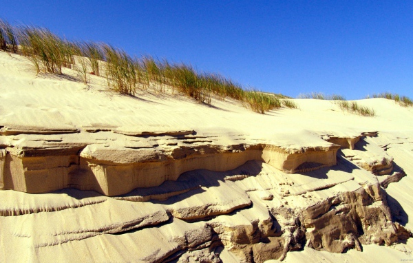 Береговые дюны