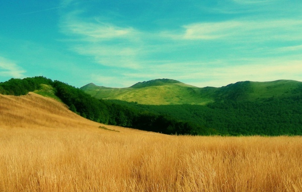 Трава по пояс