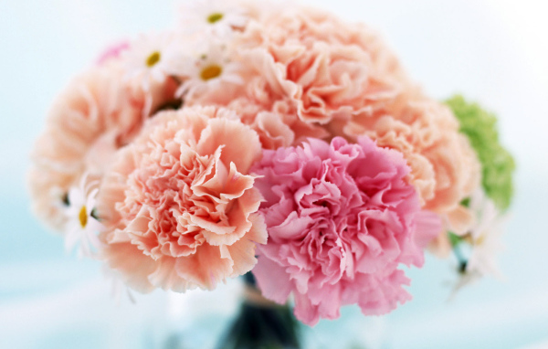 Домашний букет, Цветы