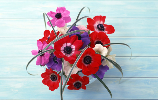 Цветы на стене