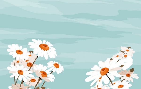 Белые цветы и небо, Цветы