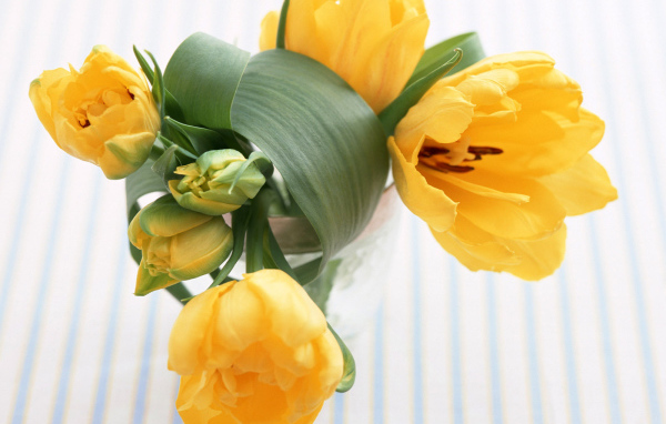 Желтые цветы