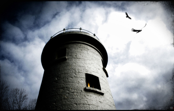 Башня и вороны