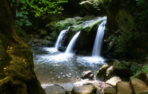 Водопад в лесу