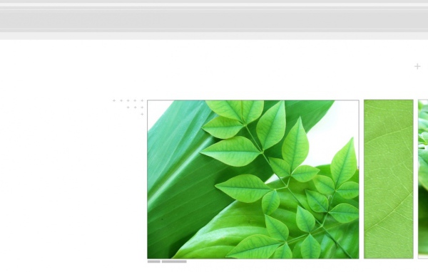 Навес из листьев