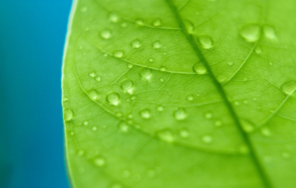 Сбор капель