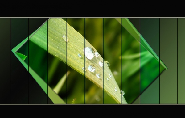 Светло-зеленый лист