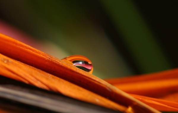 Гладкое Скольжение