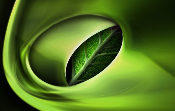 Символический лист