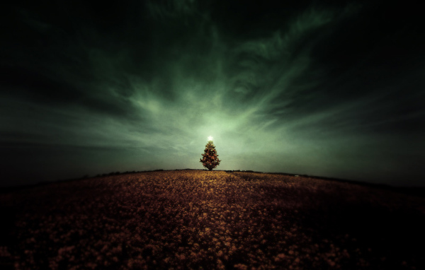 Новогодняя елочка