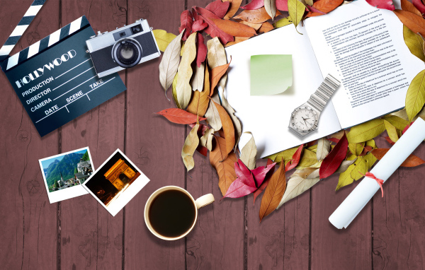 Рабочий стол режиссера