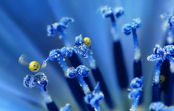 Цветочные пылинки