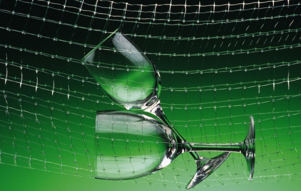 Зеленый счет