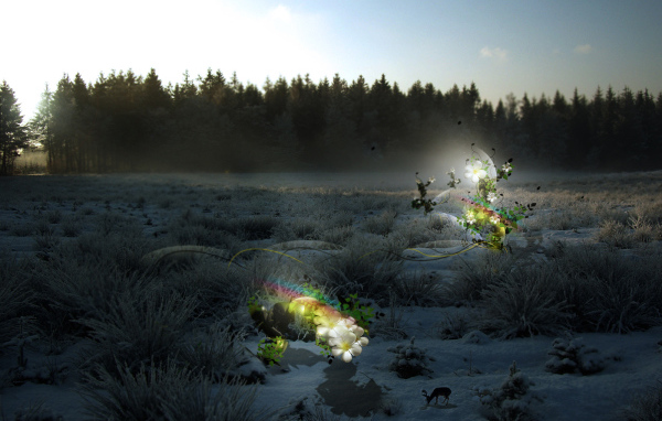 Волшебные цветы