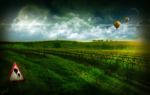 Виноградник