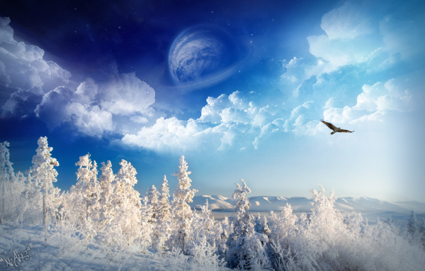 Зимняя страна чудес