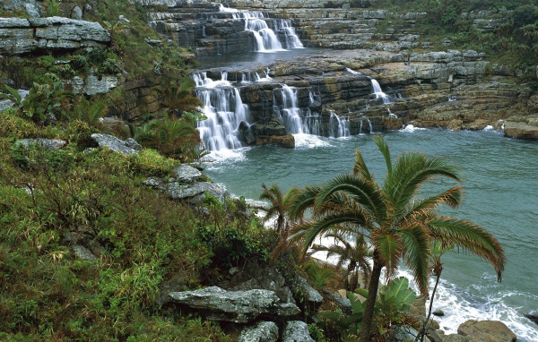 Заповедник Мкабати / Побережье Пондоланд / Африка