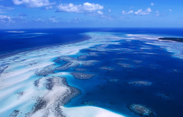 Коралловый риф / Острова Пролива Торреса / Австралия