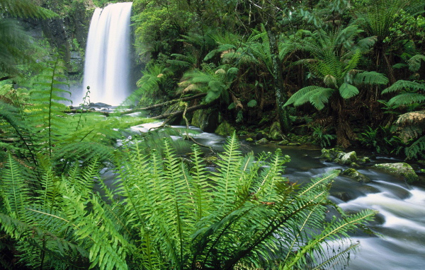 Водопад - Австралия
