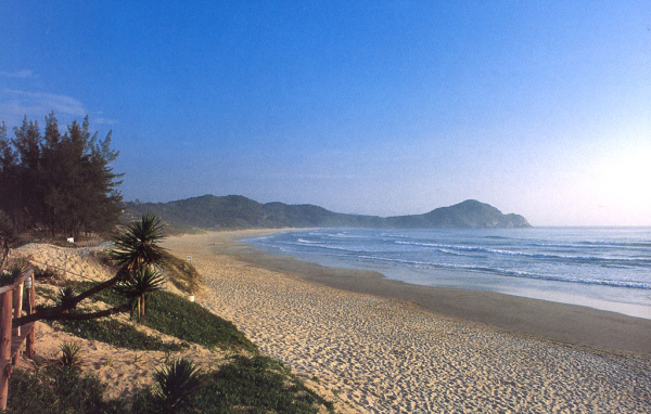 Пляж Бразилии