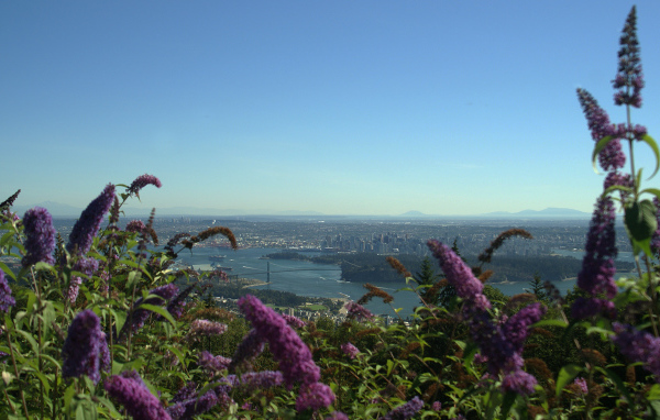 Цветочный Ванкувер