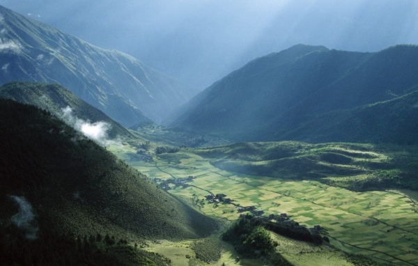 Поля Тибета