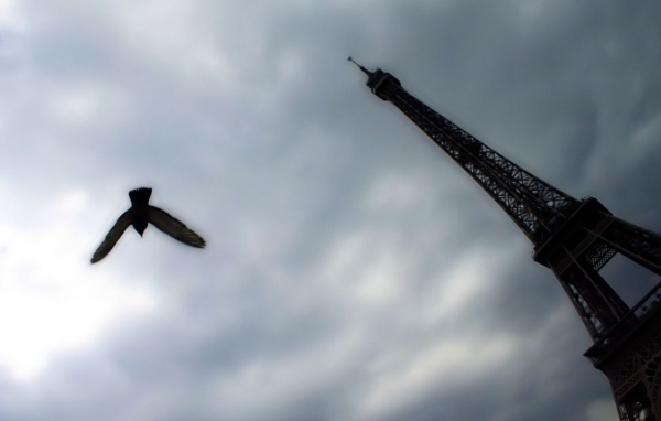 Различная точка обзора