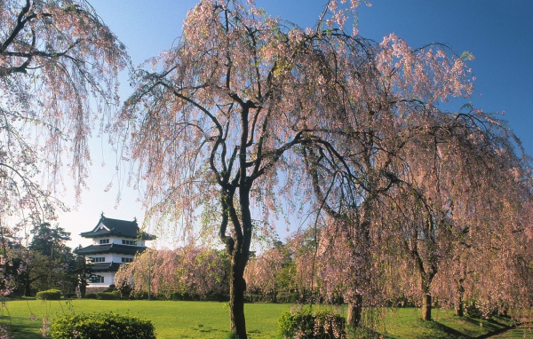 Замок Хиросаки, Япония