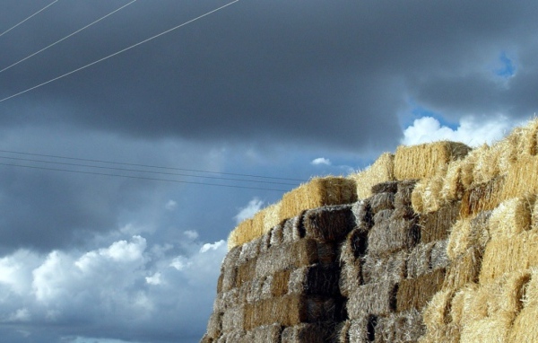 Avila Испания