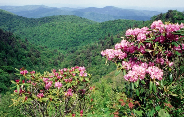 Коса Голубого хребта США
