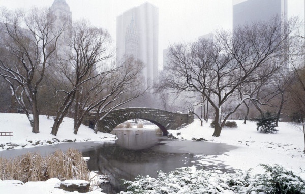 Центральный Парк НЬЮ-ЙОРК США