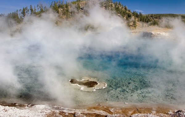 Гейзер Мягкой древесной стружки США