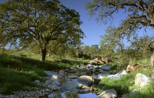 Золотая Страна / Калифорния / США