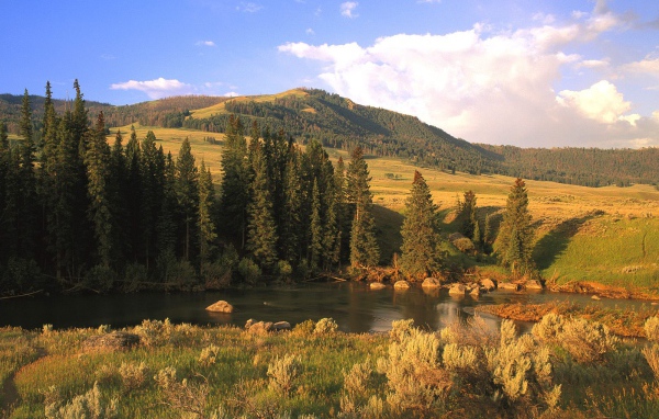 Долина Реки Lamar, США