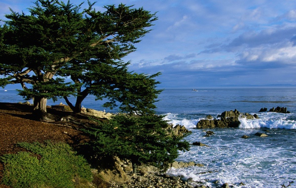 Тихоокеанская Береговая линия / Калифорния / США