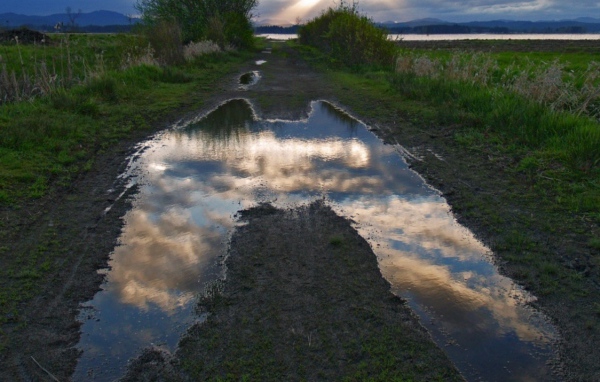 Лужа Неба, США