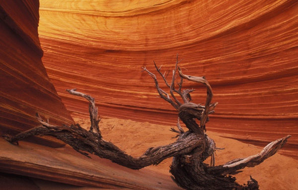 Гладкое Формирование скалы / Каньон Paria / Аризона / США