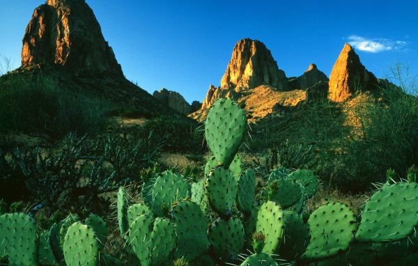 Свет восхода солнца в  Горах Суеверия / Апачский След / Аризона / США