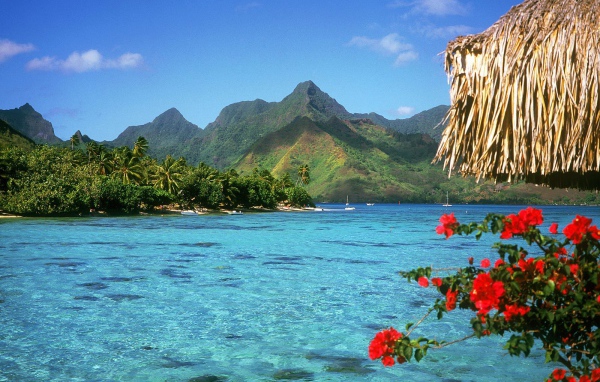 Спокойная Лагуна, США