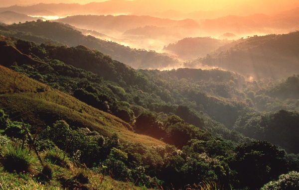 Тропический лес El Yunque