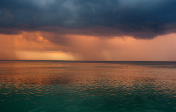 Ямайский дождь