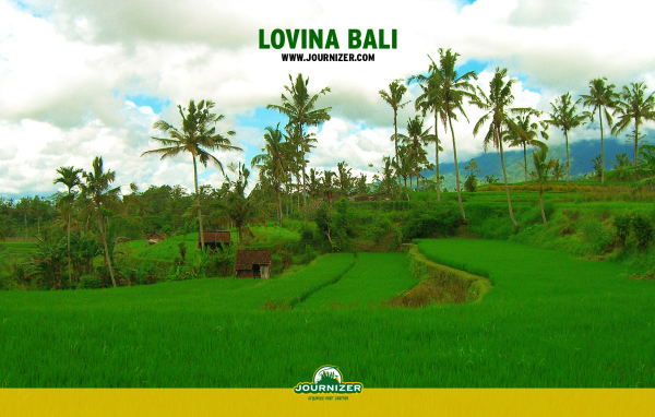 Lovina Бали