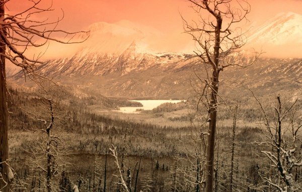 Охваченный зимой