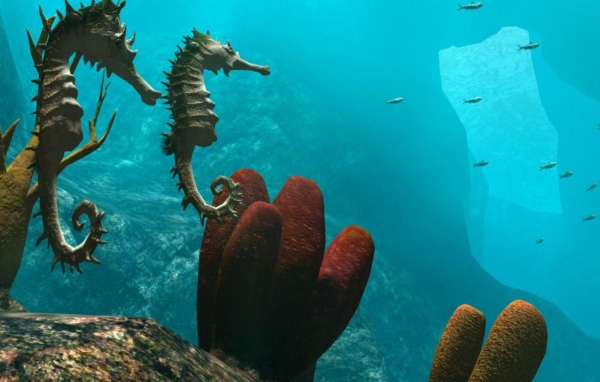 Морские обитатели