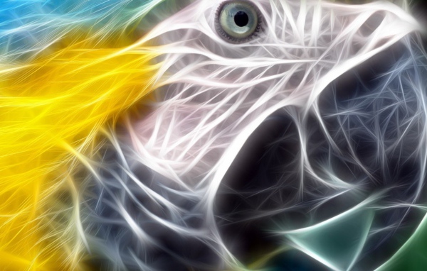 Разноцветный попугай