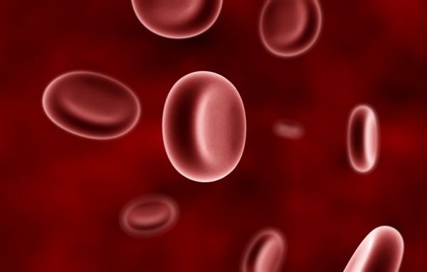 Эритроциты