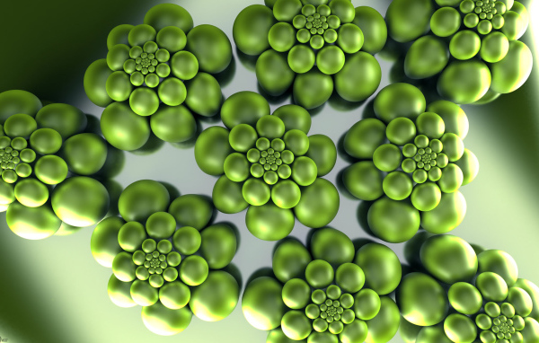 Зеленый штамм